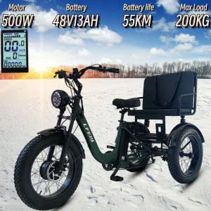 New 3-Wheeled Electric Vehicle 500W Motor 48V13AH Fat Tire Snow Cargo E-Bike Elderly Parent-Child Travel Electric 3-Wheeled Bike