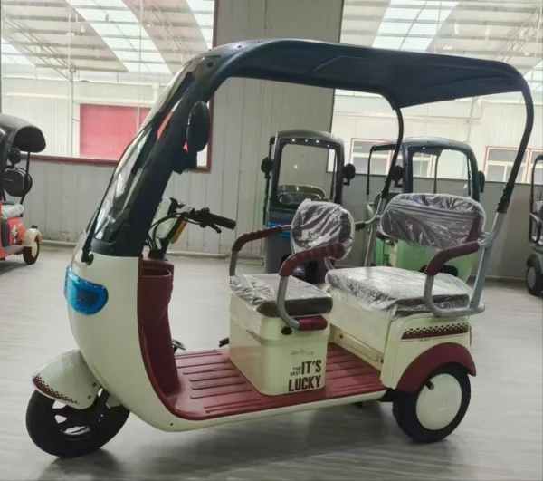 Factory Supply Leisure Moped Electric Scooter With 3 Wheels 800w 1000w 48v 60v Three-wheeled Electric Tricycle With Shed Battery - Image 19
