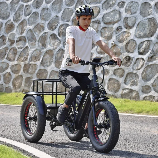 Factory Hot Sales Electric Tricycle 7 Speed Electric Bike 3 Wheels Ebike 48V Voltage 500W 750W Motor Electric Cargo Bike - Image 2