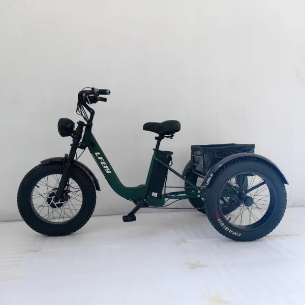 New 3-Wheeled Electric Vehicle 500W Motor 48V13AH Fat Tire Snow Cargo E-Bike Elderly Parent-Child Travel Electric 3-Wheeled Bike - Image 10