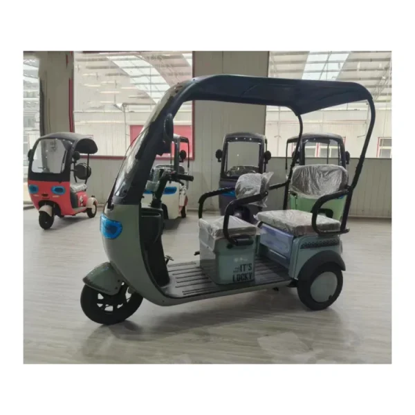 Factory Supply Leisure Moped Electric Scooter With 3 Wheels 800w 1000w 48v 60v Three-wheeled Electric Tricycle With Shed Battery - Image 5