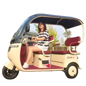 2025 Hot Selling Electric Tricycle for Family Use Open Body Rickshaw with Roof for Passenger and Cargo for Adults
