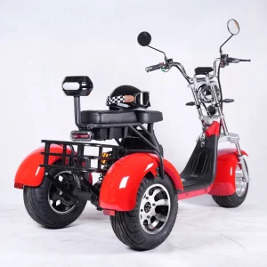 US Warehouse Hot Selling 3 Wheels Fat Tire Tricycle 60v 1500w/2000w/3000w 3 Wheel Electric Scooter for Adult